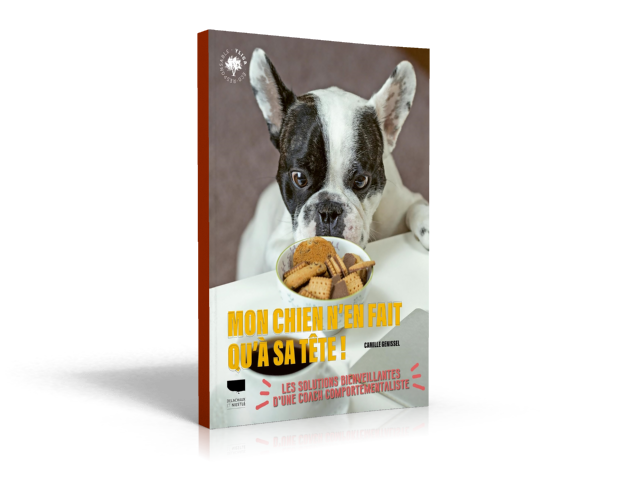 Couverture : Mon chien n'en fait qu'à sa tête ! — Camille Genissel