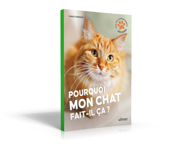 Couverture : Pourquoi mon chat fait-il ça&nbsp;? — Camille Genissel