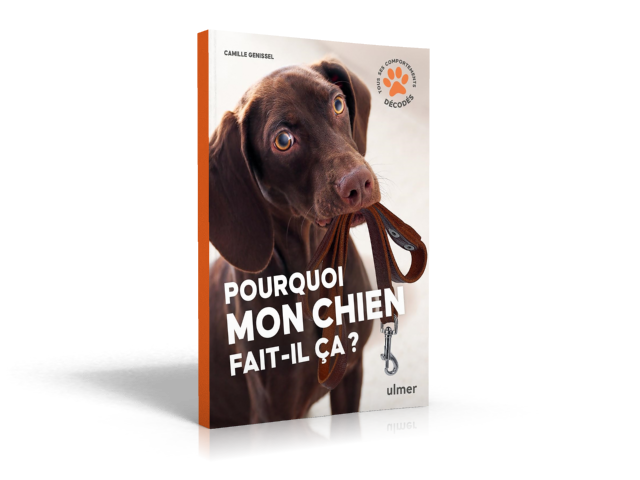 Couverture : Pourquoi mon chien fait-il ça&nbsp;? — Camille Genissel